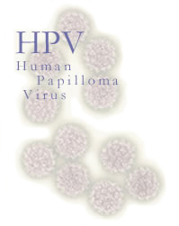 HPV Human Papilloma Virus